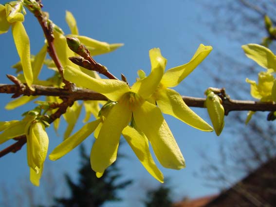 Frühling 2004