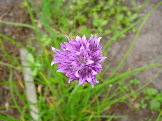 Frühling 2004