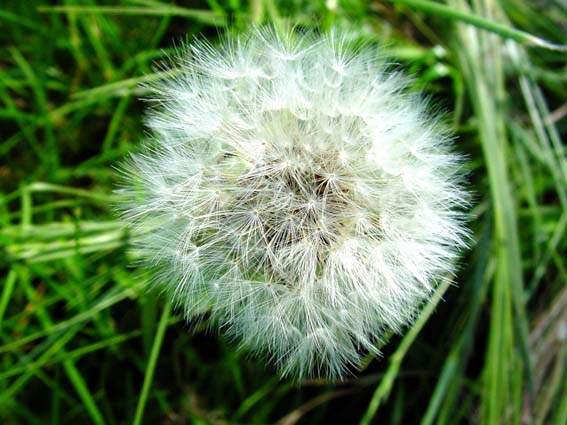 Frühling 2004
