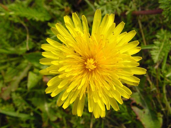 Frühling 2004