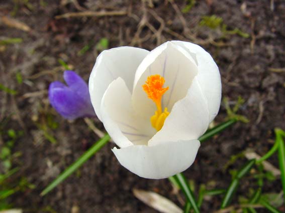 Frühling 2005