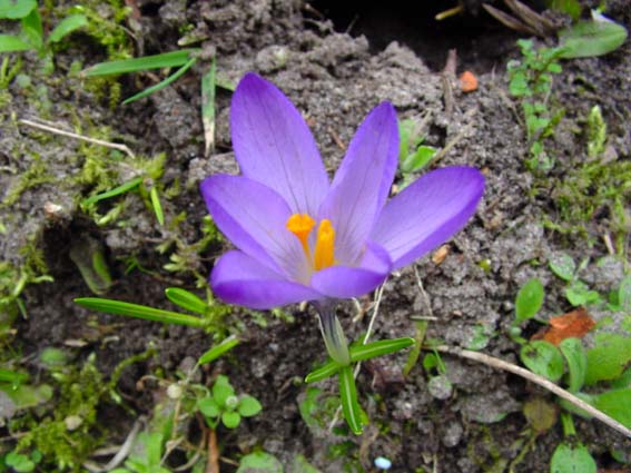 Frühling 2005