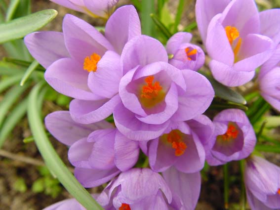 Frühling 2005