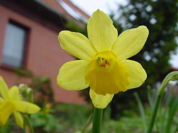 Frühling 2005