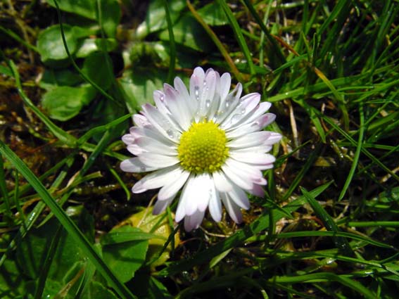 Frühling 2005