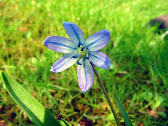 Frühling 2005