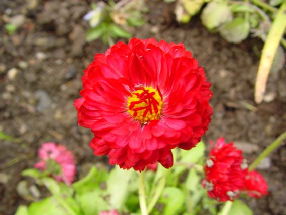 Frühling 2005