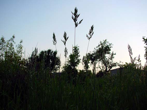 Frühling 2005