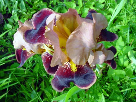 Frühling 2005