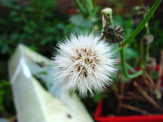 Herbst 2004