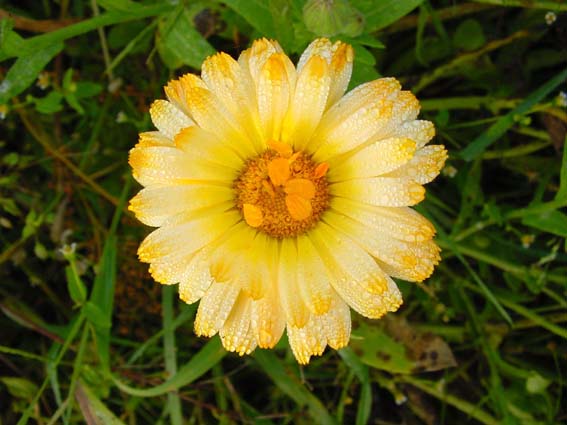 Herbst 2004