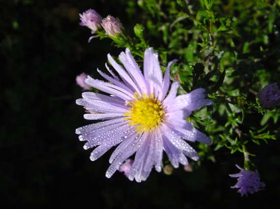 Herbst 2004