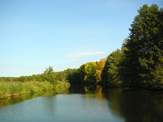 Natur pur beim Angeln an der Dahme