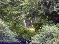 Natur pur beim Angeln
