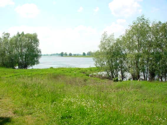 An der Elbe, Sommer 2002