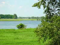 An der Elbe, Sommer 2002