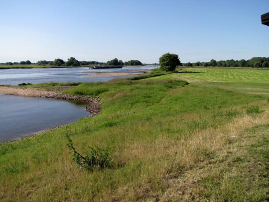 An und auf der Elbe, Juni 2012