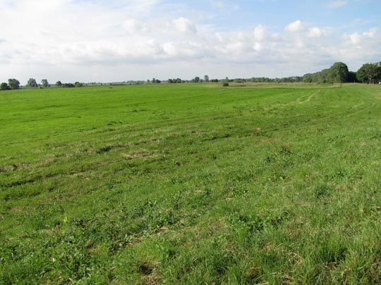 An und auf der Elbe, Juni 2012