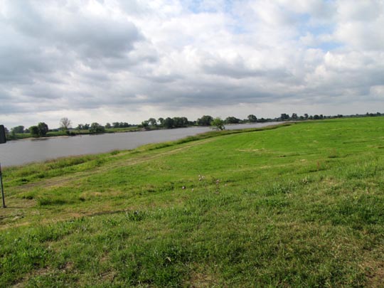 An und auf der Elbe, Juni 2012