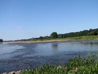 An und auf der Elbe, Juni 2012