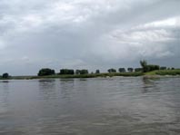 An und auf der Elbe, Juni 2012