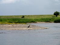 An und auf der Elbe, Juni 2012