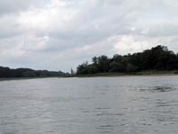 An und auf der Elbe, Juni 2012