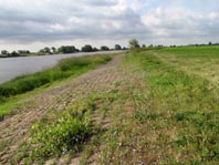 An und auf der Elbe, Juni 2012