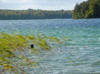 In Neuglobsow am Stechlinsee, Herbst 2002