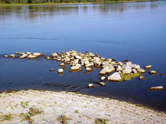 Angelstellen an der Oder