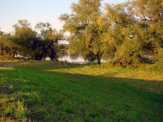 An der Oder in Kuhbrücke