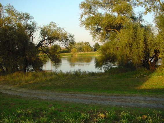 An der Oder in Kuhbrücke