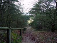 Im Ländchen Rhinow in Stölln und auf den Spuren von Otto Lilienthal, Dezember 2004