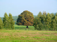 In Teetz, an der Dosse und Umgebung, im Herbst 2003