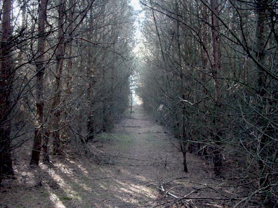 Umgebung, im Herbst 2007