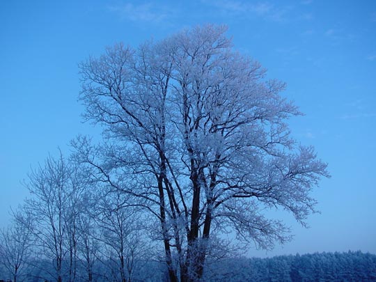 An der Dosse und Umgebung, Winter 2007