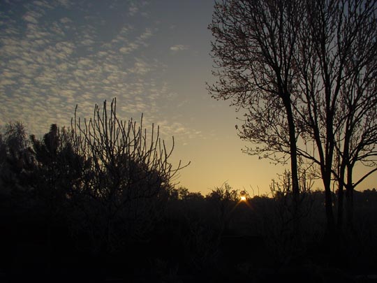 An der Dosse und Umgebung, Winter 2007