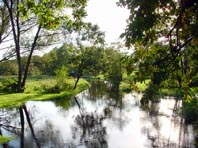 An der Dosse in Teetz, im Sommer 2007