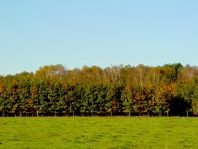 Umgebung, im Herbst 2007