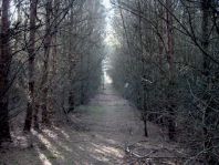 Umgebung, im Herbst 2007
