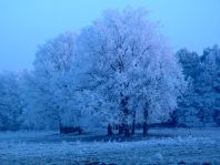 An der Dosse und Umgebung, Winter 2007