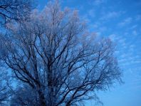 An der Dosse und Umgebung, Winter 2007