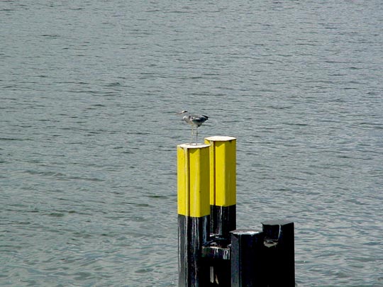 Auf der Unteren Havel, Sommer 2009