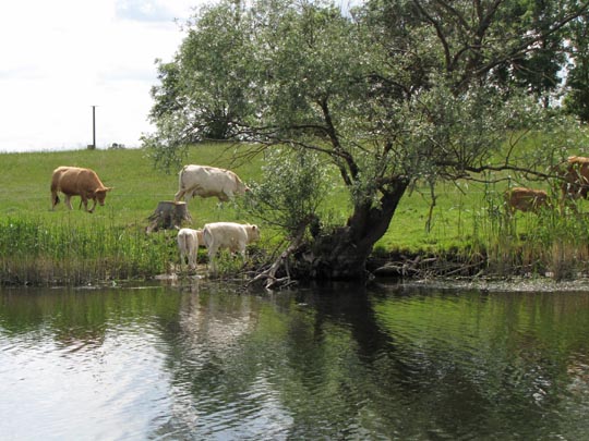 Untere Havel, Juni 2012, von Havelberg nach Ketzin