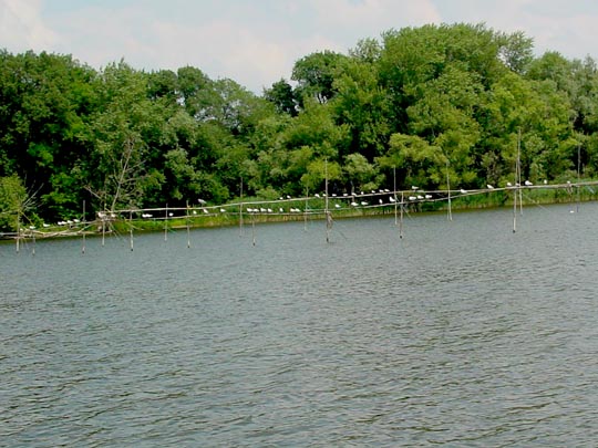 Auf der Unteren Havel, Sommer 2009