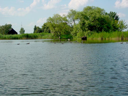 Auf der Unteren Havel, Sommer 2009
