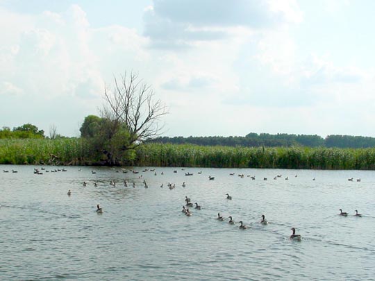 Auf der Unteren Havel, Sommer 2009
