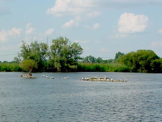 Auf der Unteren Havel, Sommer 2009