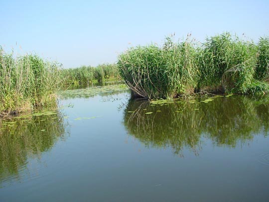 Auf der Unteren Havel, Sommer 2009