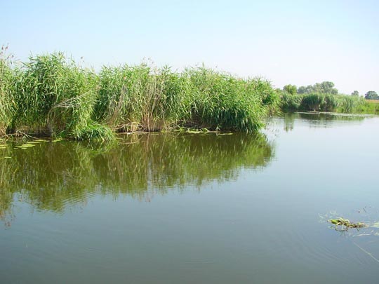 Auf der Unteren Havel, Sommer 2009
